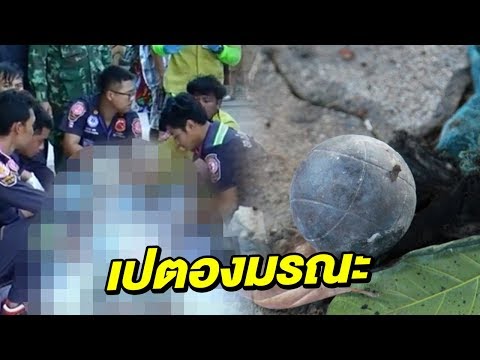 "เปตองมรณะ" ระเบิดสมองกระจาย | 03-09-60 | ชัดทันข่าว เสาร์-อาทิตย์