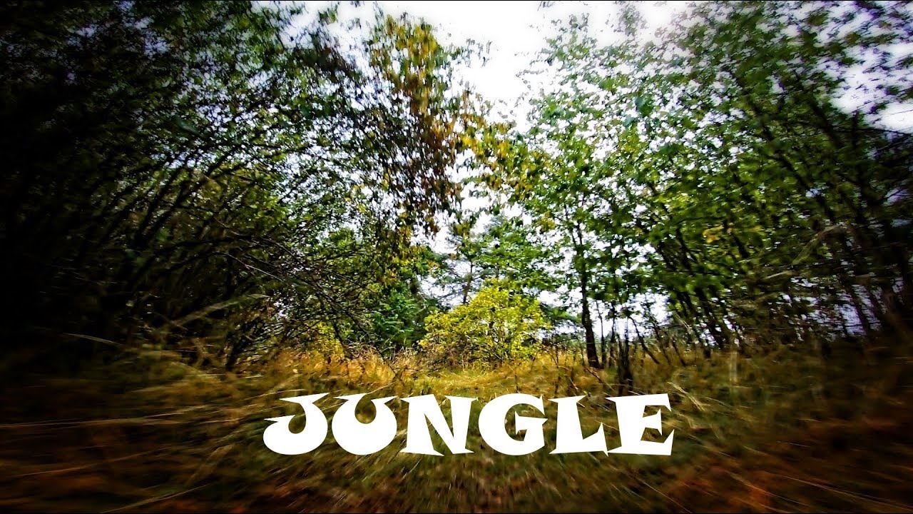 Jungle | FPV FREESTYLE