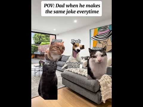 CAT MEMES 🐱 Dad when he makes the same joke everytime 😂. #catmemes #meme
