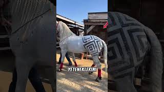 Atları Sanat Eserine Çeviren Yarışma