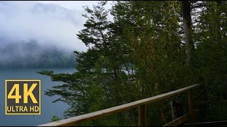 Misty Lake Adventure Nature Walk 4K (With Ambient Nature Sounds And Music)