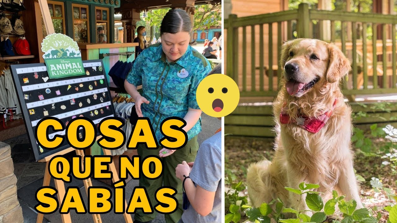 💡 10 SERVICIOS que ofrece DISNEYLAND PARIS y quizá no sabías 😅