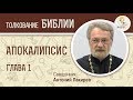 Апокалипсис. Глава 1. Священник Антоний Лакирев. Библия