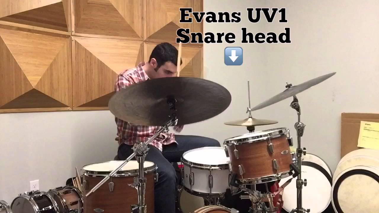 Evans Drumhead Headquarters Secret Drum Cave Calftone Play Test YouTube