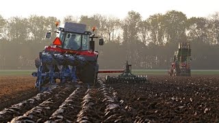 New Massey Ferguson 6616 & 7618 on tracks | Ploughing and planting bulbs