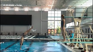 201a Back Dive Straight 1m Springboard 1.7