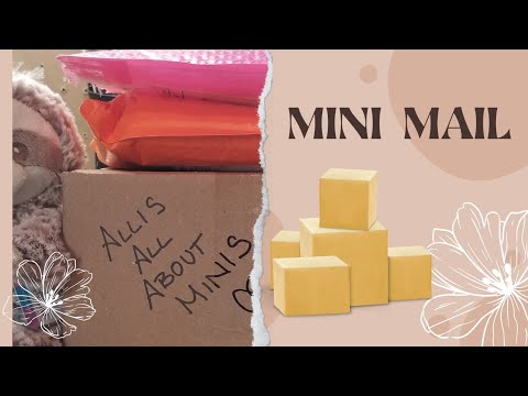 Mini Mail Miniature Haul