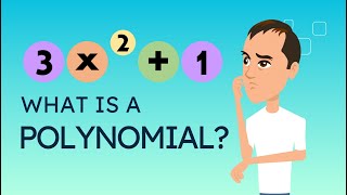 What Is a Polynomial?