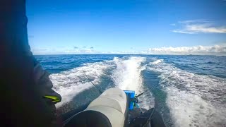 Spanish Mackerel in green water. Jet ski fishing, Gold Coast.
