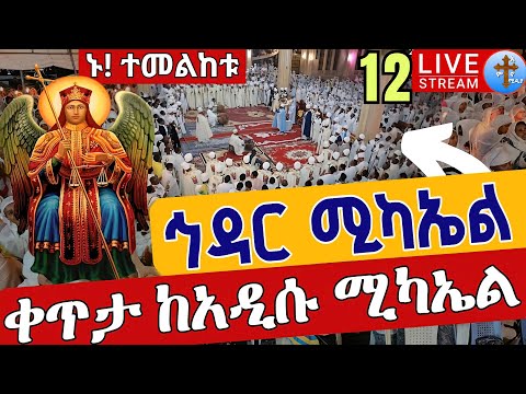 Live ኅዳር ሚካኤል ማኅሌቱ ደምቋል ቀጥታ ከደብረ መዊዕ አዲሱ ቅዱስ ሚካኤል ኅዳር 11 Live From Adisu Mikael Nov 20