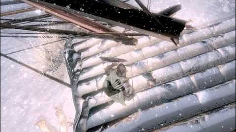 Skyrim Glitch #1 Texture glitch :o