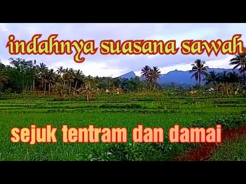 bikin rindu kampung halaman||suling sunda merdu kabayan
