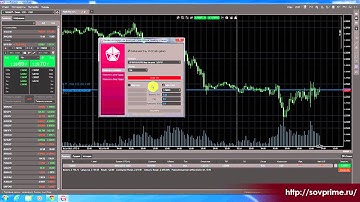 cTrader: ордера. Урок 5. Инвест-Прайм СОВЕТСКИЙ