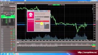 cTrader: ордера. Урок 5. Инвест-Прайм СОВЕТСКИЙ cTrader: ордера. Урок 5. Инвест-Прайм СОВЕТСКИЙ
