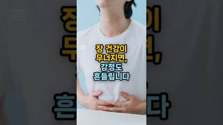 [장-뇌 연결] 장 건강이 감정에 미치는 이유