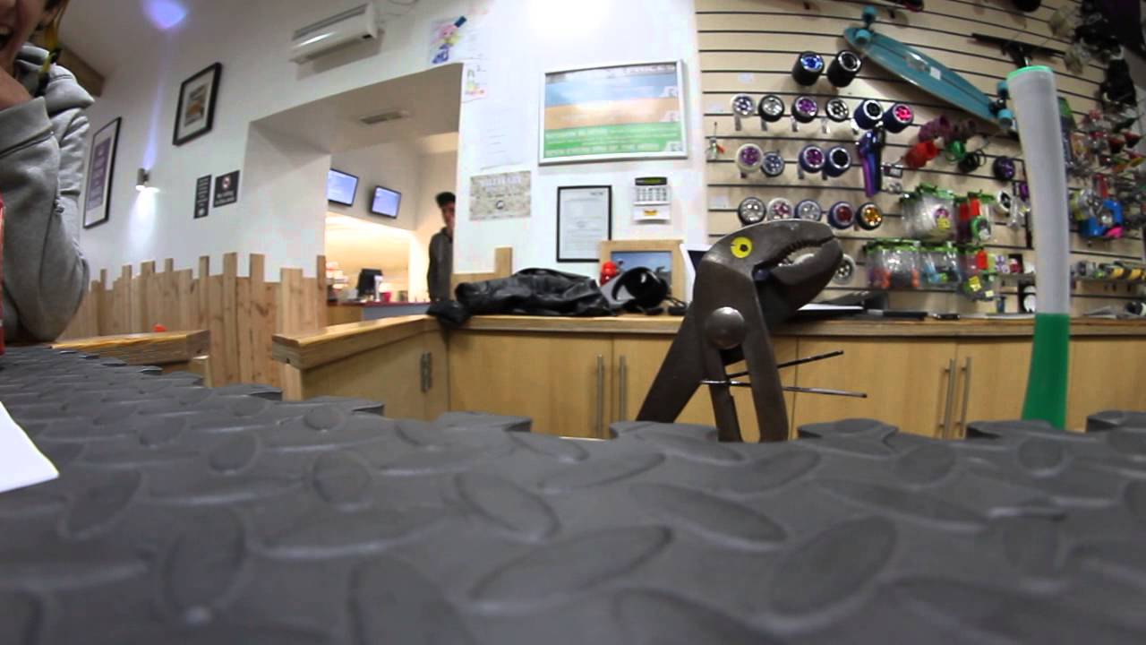 Walking With Dinosaurs At Ramps Skatepark 'Terry The T Rex' YouTube