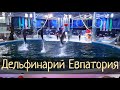 Дельфинарий в Евпатории. Обзор выступления / Субботние Путешествия