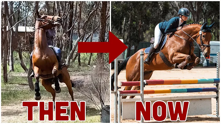 FROM RACEHORSE TO RIDING HORSE // Rocky's 1 year p...