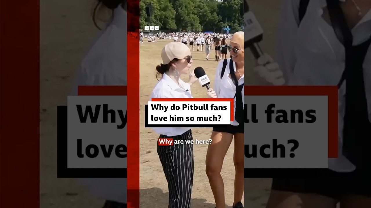 Why do Pitbull fans love him so much? #Pitbull #MrWorldwide #London #GuinnessWorldRecords #BBCNews