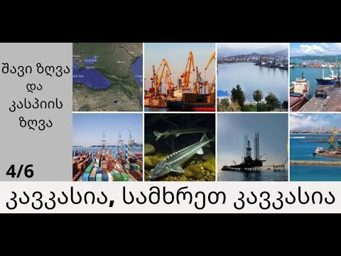 გეოგრაფია, მე - 8 კლასი, შავი და კასპიის ზღვები, ანა ანუშიძე