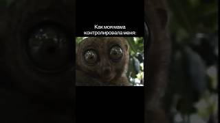 Контроль мамы #мем #ilovejuice