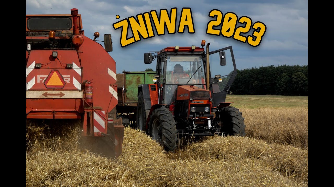 Żniwa 2023 w Wielkopolsce | GR Matysik