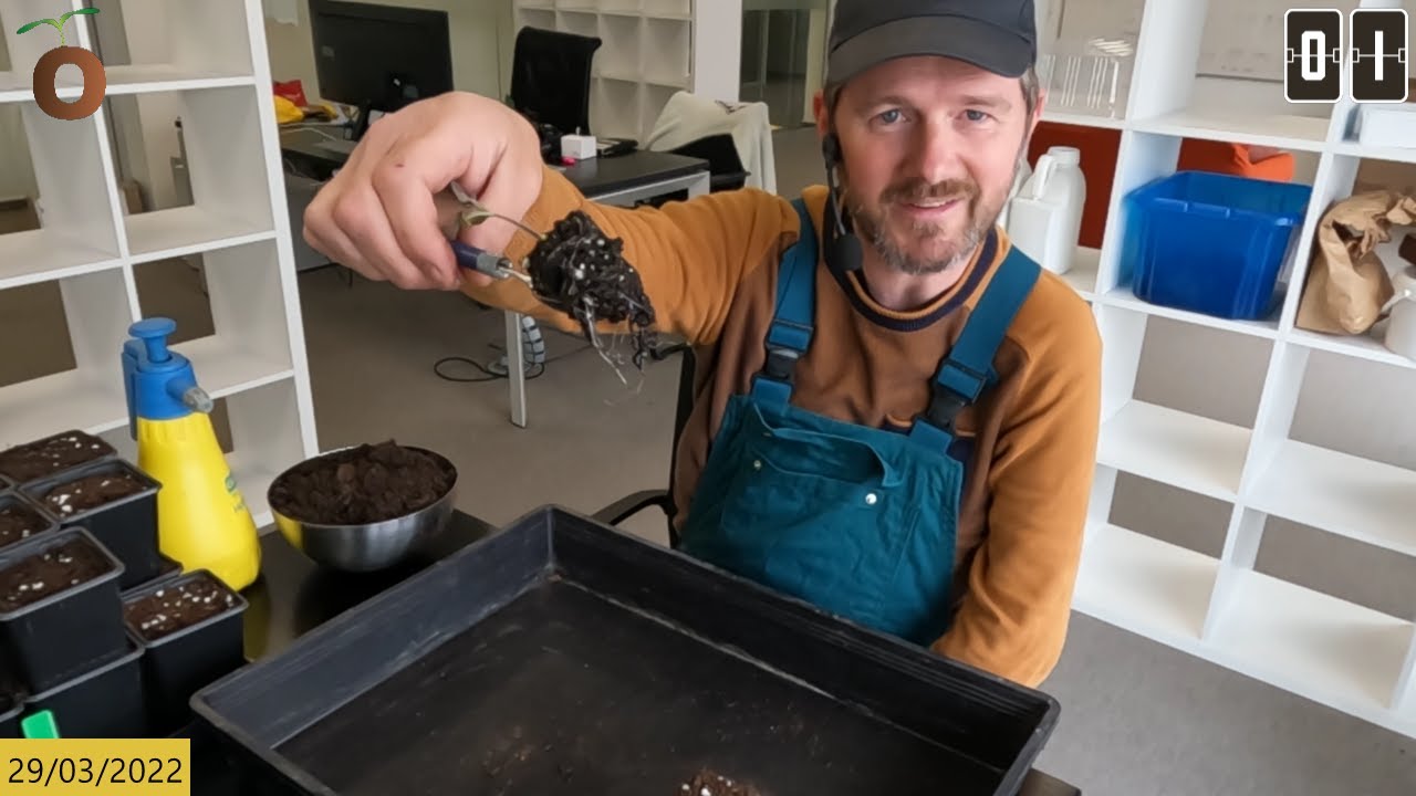 SKSZ22#13 : Tomaten verspenen