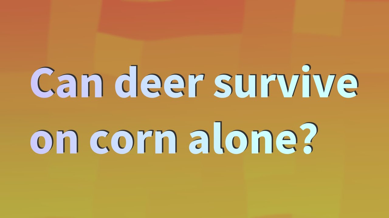Can deer survive on corn alone? YouTube