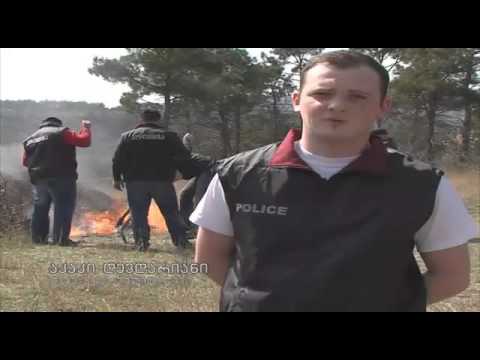 სამართალდამცველებმა განსაკუთრებით დიდი ოდენობით ნარკოტიკები გაანადგურეს