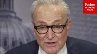 Schumer Touts Funding Bill: 'The Agreement We Reached Today Did Precisely What Democrats Wanted'