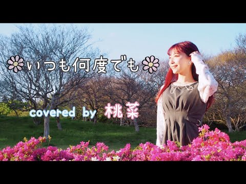 【うたのおねえさんが　#歌ってみた】「#いつも何度でも」〜Covered by 桃菜〜