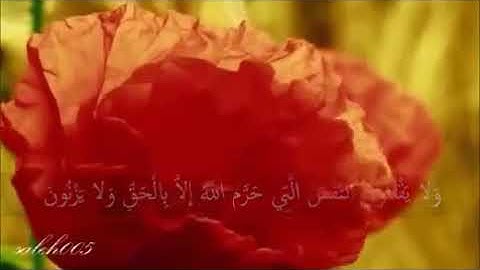 تأمل في خلق الله الطبيعة المذهلة مع تلاوة عذبة للشيخ خالد الجليل ابداع رباني