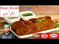 Chicken Shami Kabab Recipe | شامی کباب بنانے کا طریقہ | Best Shami Kabab at Home (6 months expiry)