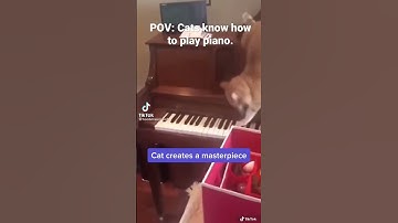 Cat makes a masterpiece