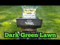 How To Get A Dark Green Lawn In The Summer| How To Use Ironite