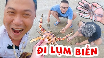 Đi Lụm Biển Nhặt Được Ghẹ Mặt Trăng Ốc Hương Sò Dương Bạch Tuộc - Thạc Đức TV