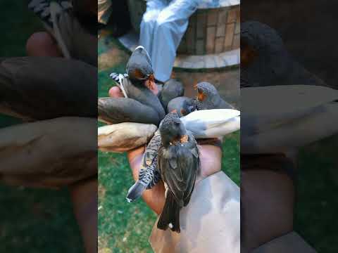 تجارب جديدة في شمال نجد New Experiences In Northern Najd