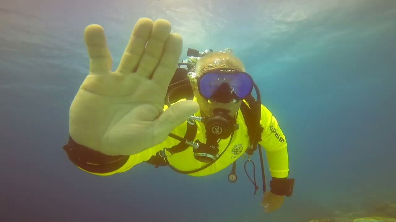 LionfishDivers Visits Aruba In 2024 Full Video YouTube LionfishDivers Visits Aruba In 2024 Full Video YouTube