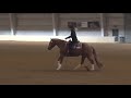 181104 novice fran simmons on slj smart and ruff