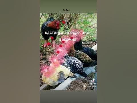 ергена - YouTube