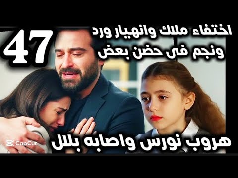 Night Of Episode 47 Malak Disappears Ward And Najm Break Down Nours Escapes Bilal Is Inju 