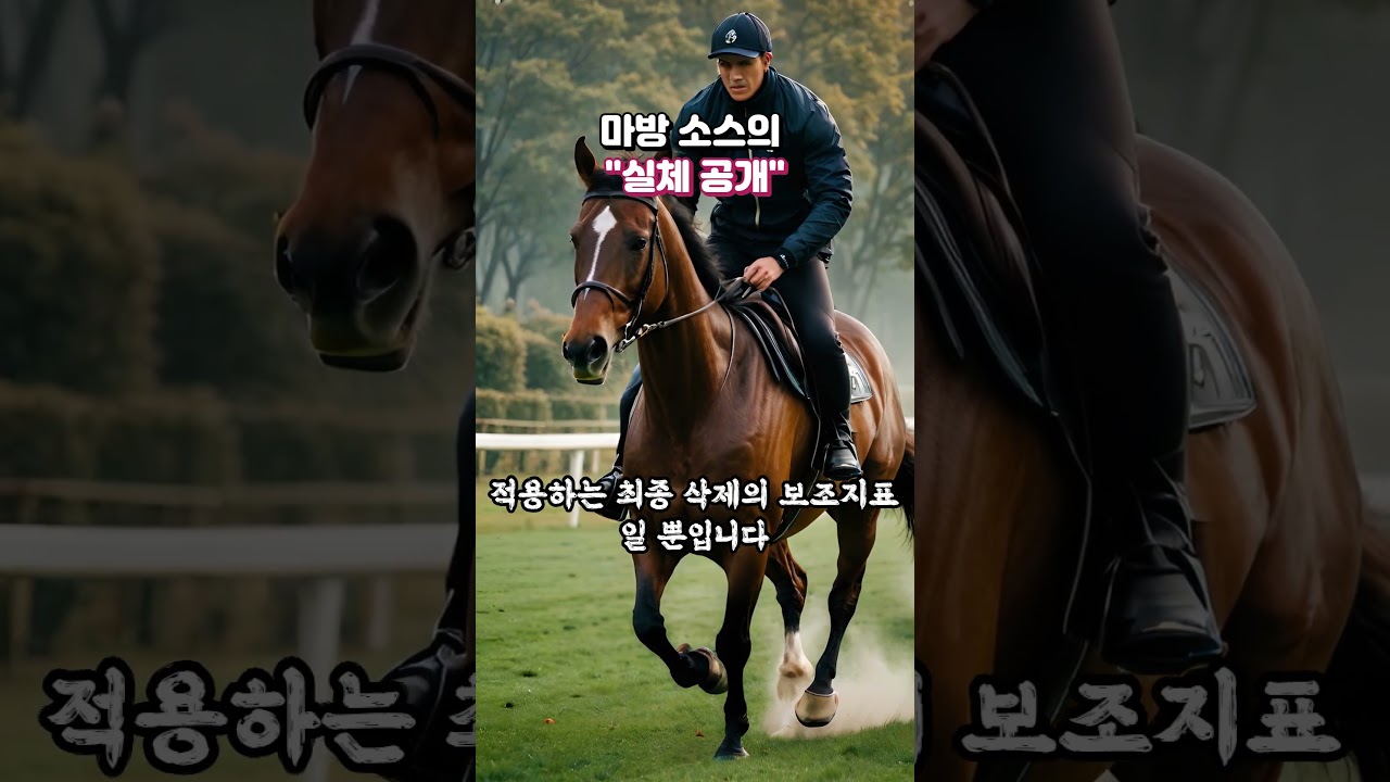 경마 마방소스의 "실체 공개"!
