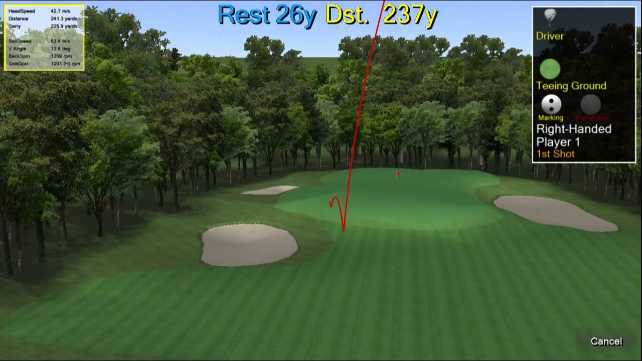 Swing better plesio sample image [DITECT golf analyzer] driver impact