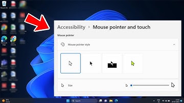 How to Change Mouse Cursor Size in Windows 11/10 (EASY)