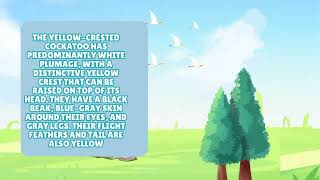 OBSERVATION REPORT ASSIGNMENT , ENGLISH 