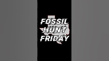 🦖🦕🪏Fossil hunting Texas