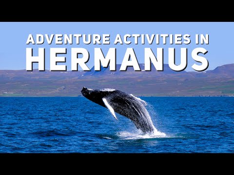 Top 7 Adventure Activities in Hermanus | South Africa