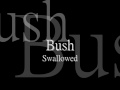 Bush  swallowed lyric hq