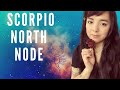 Taurus South Node 🐮🌱 | Scorpio North Node 🐛 🦋  | ASTROLOGY 🌈