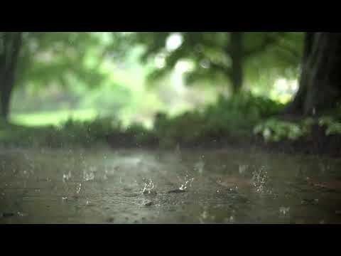 Reklamsız 3 Saatlik, Rahatlatıcı Yağmur Sesi (Gök gürültüsüz yağmur sesi)